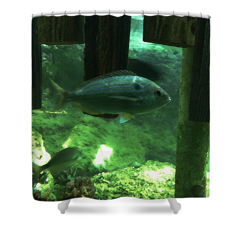 Fish Shower Curtain featuring the digital art Under the Boardwalk by Richard Reeve
