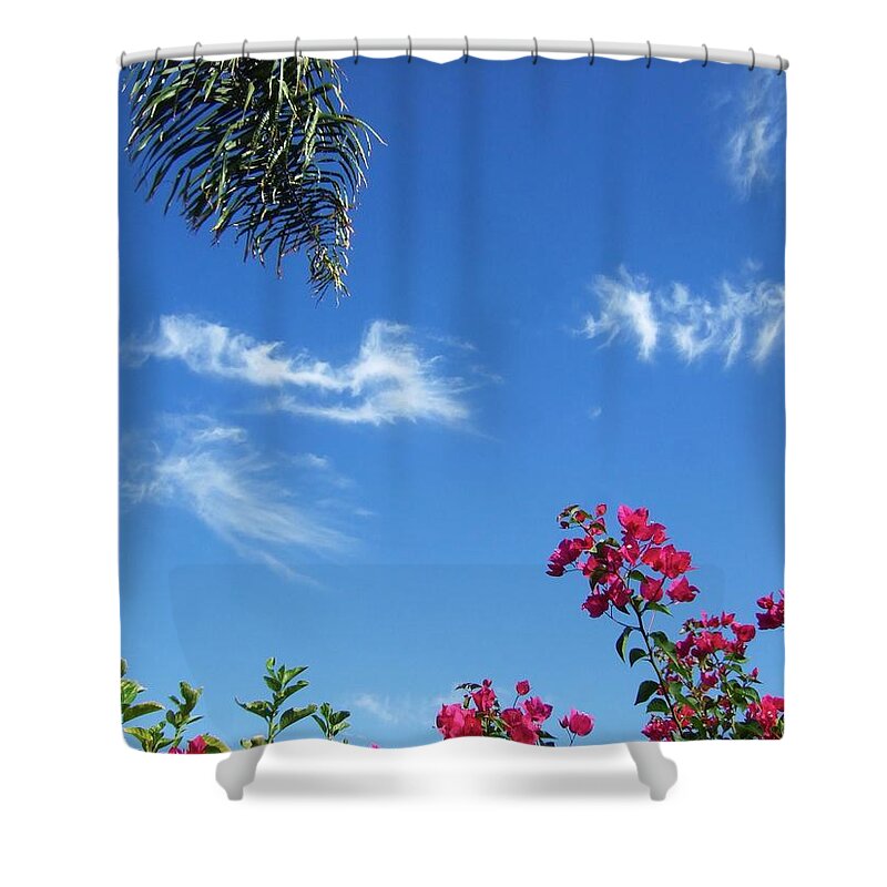 Bouganvillia Shower Curtain featuring the photograph Under the Palms by Steve Ondrus