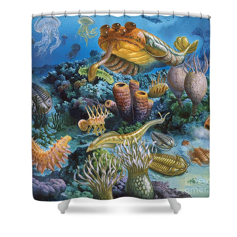Illustration Shower Curtain featuring the photograph Underwater Paleozoic Landscape by Publiphoto