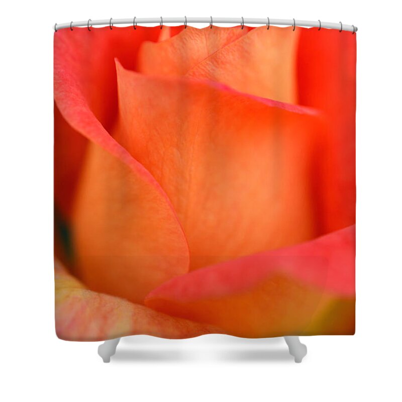 Rose Shower Curtain featuring the photograph Unique by Deb Halloran