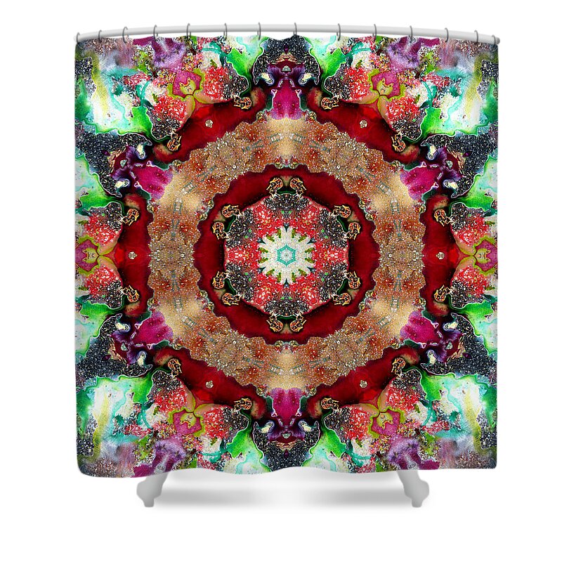 Mandala Shower Curtain featuring the photograph Universe by Lisa Lipsett