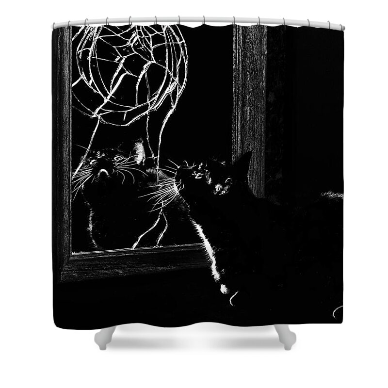 Unlucky Shower Curtain featuring the photograph Unlucky by Rick Mosher