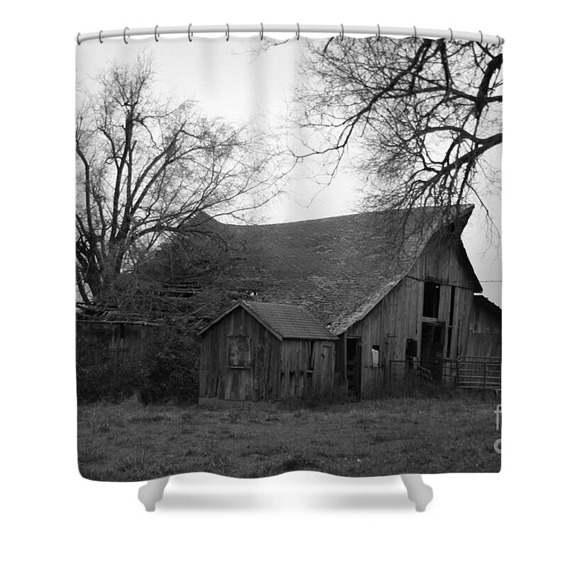 Black And White Shower Curtain featuring the photograph Until the Cows Come Home by Crystal Nederman