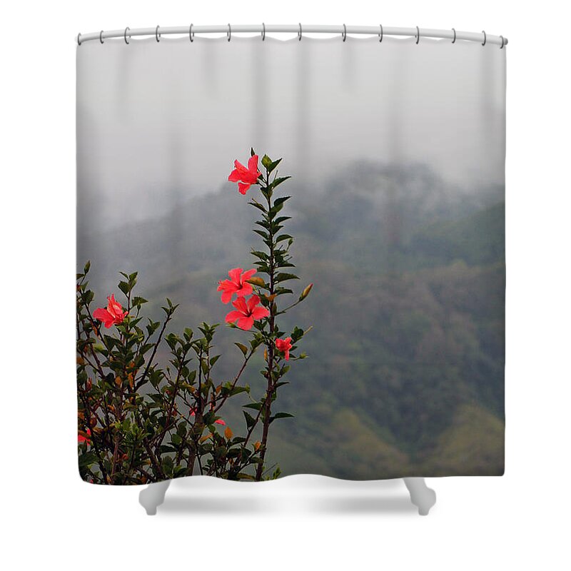 Flowers Shower Curtain featuring the photograph Up in the mountains by Lily K