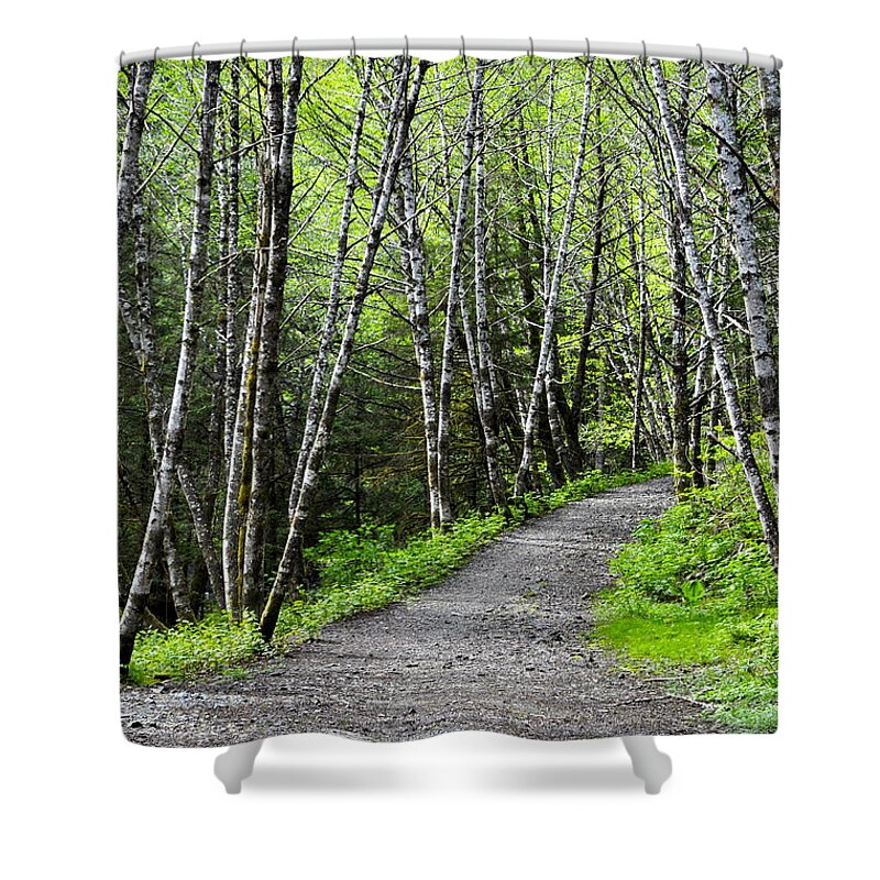 Landscape Shower Curtain featuring the photograph Up the Trail by Cathy Mahnke