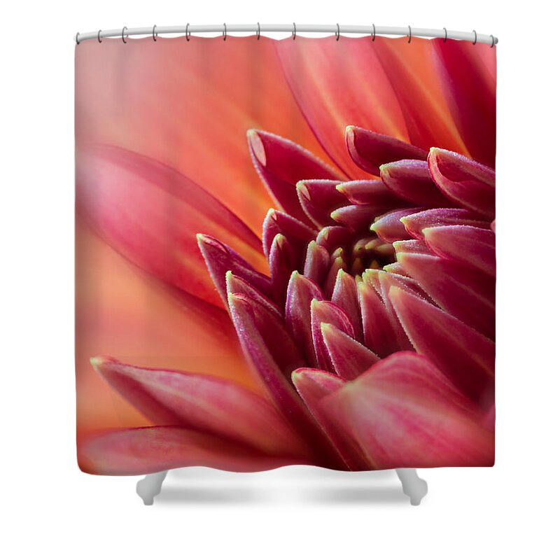 Flower Shower Curtain featuring the photograph Uplifting by Mary Jo Allen