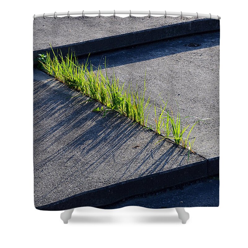 Grass Shower Curtain featuring the photograph Urban Nature by Andreas Berthold