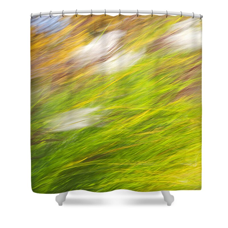Fall Shower Curtain featuring the photograph Fall Grass Abstract #1 by Christina Rollo