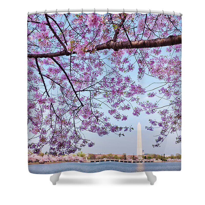 Scenics Shower Curtain featuring the photograph Usa, Washington Dc, Cherry Tree In by Tetra Images