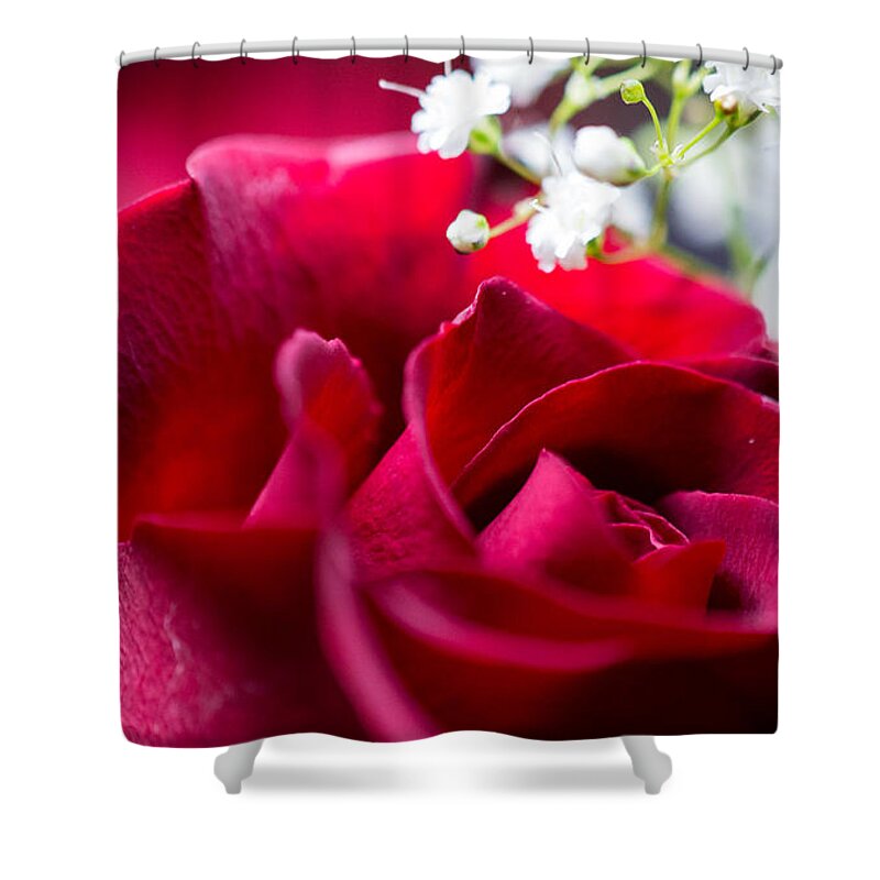 Rose Shower Curtain featuring the photograph Valentine by Alex Lapidus