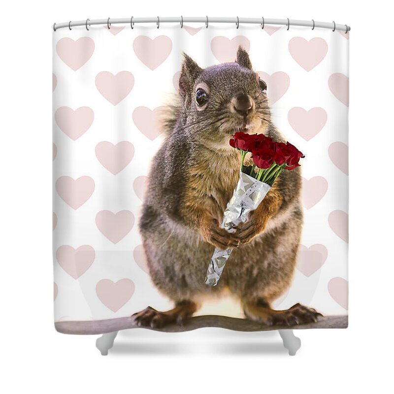 Valentines Day Shower Curtain featuring the photograph Valentines Day Squirrel with a Dozen Red Roses by Peggy Collins