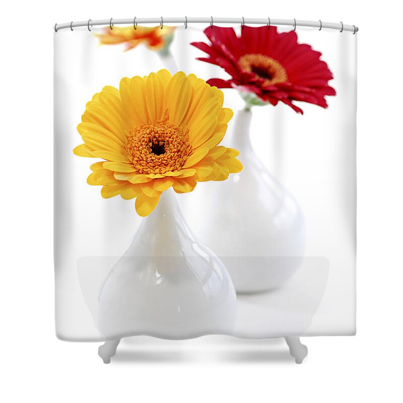 Vase With Flowers Shower Curtains