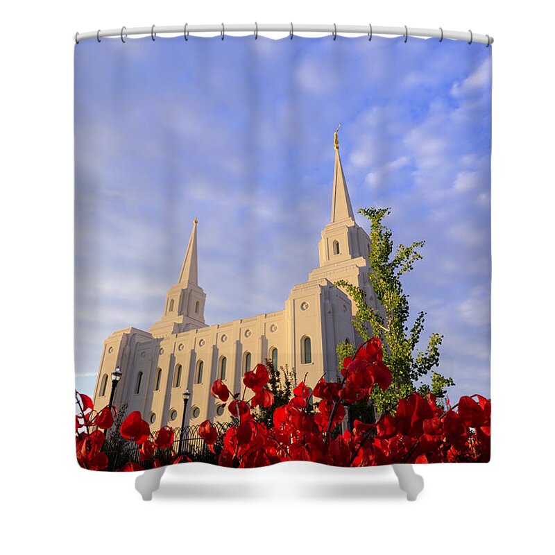 Fall Shower Curtain featuring the photograph Velvet by Chad Dutson