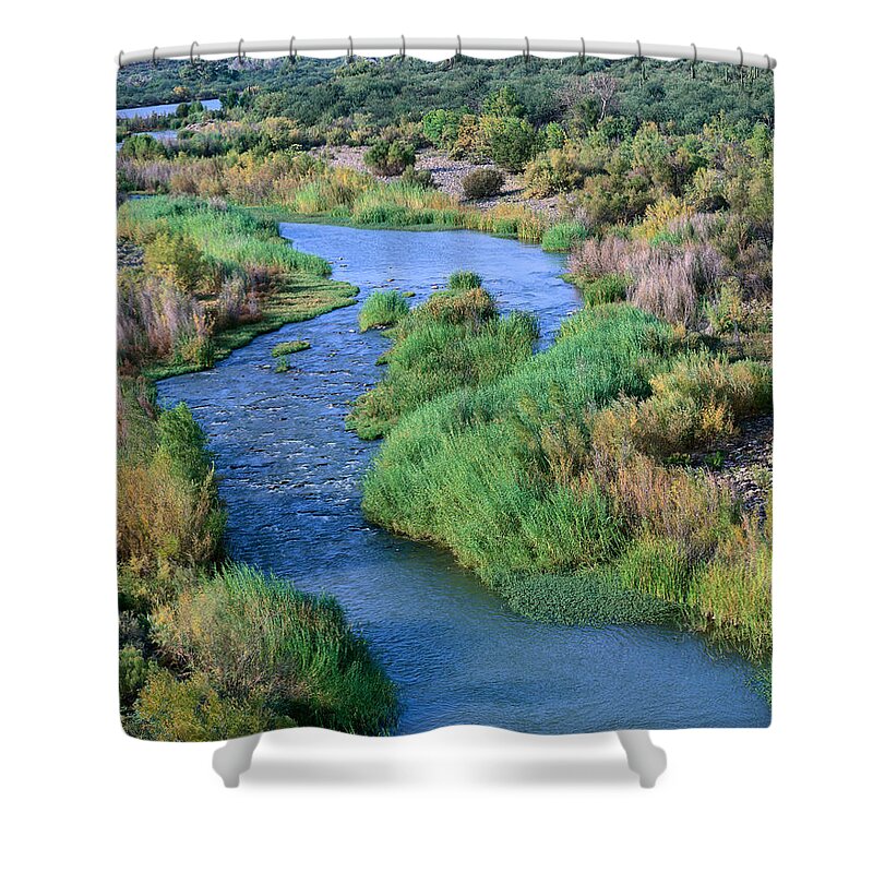 Arizona Shower Curtain featuring the photograph Verde River Z by Tom Daniel