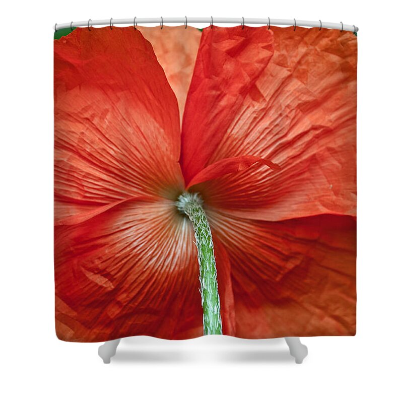 Poppy Shower Curtain featuring the photograph Veterans Day Remembrance by Tikvah's Hope