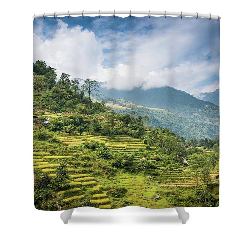 Scenics Shower Curtain featuring the photograph Vibrant Green Valley Terraces Under by Fotovoyager