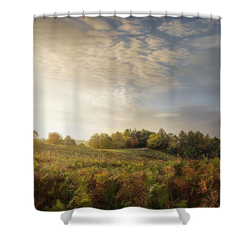Tranquility Shower Curtain featuring the photograph View Of Bracken And Hills At Sunrise by Matt Walford