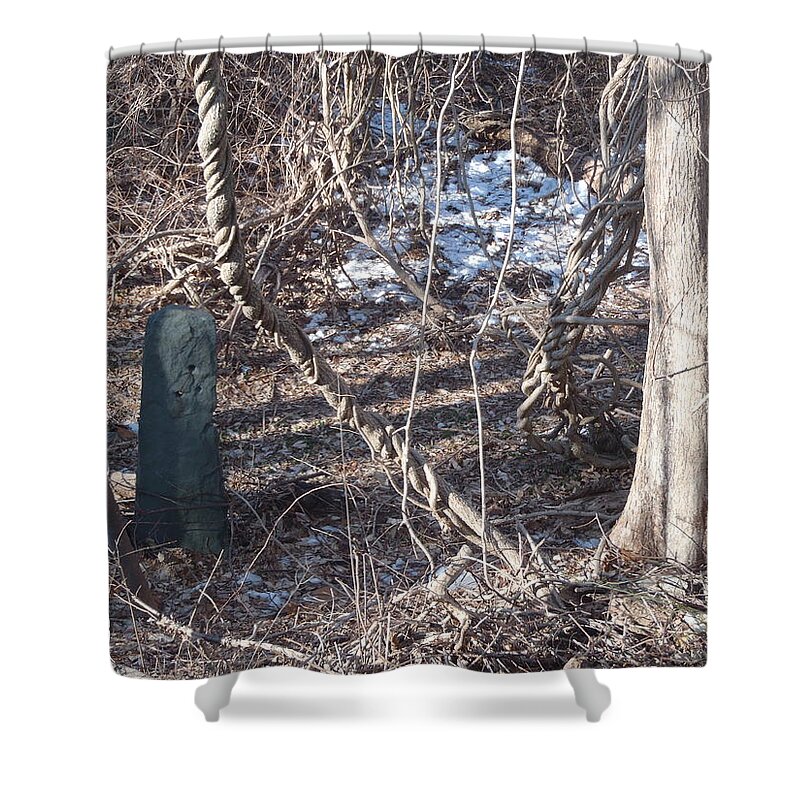 Landscape Shower Curtain featuring the photograph Vine N'Stone by Robert Nickologianis