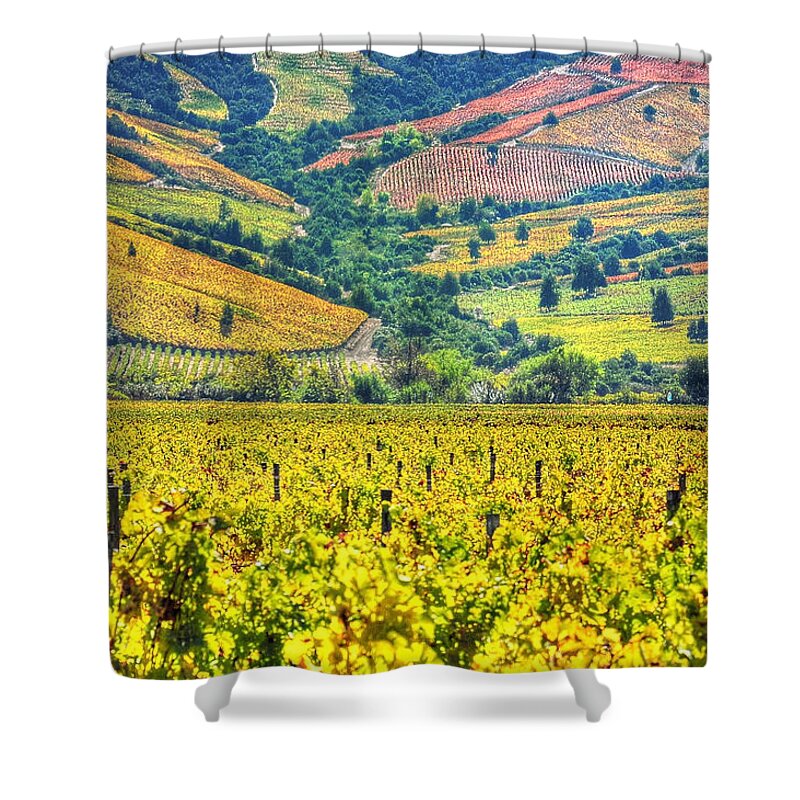Scenics Shower Curtain featuring the photograph Vineyards Hdr - Valle Colchagua by Jorge Leon Cabello