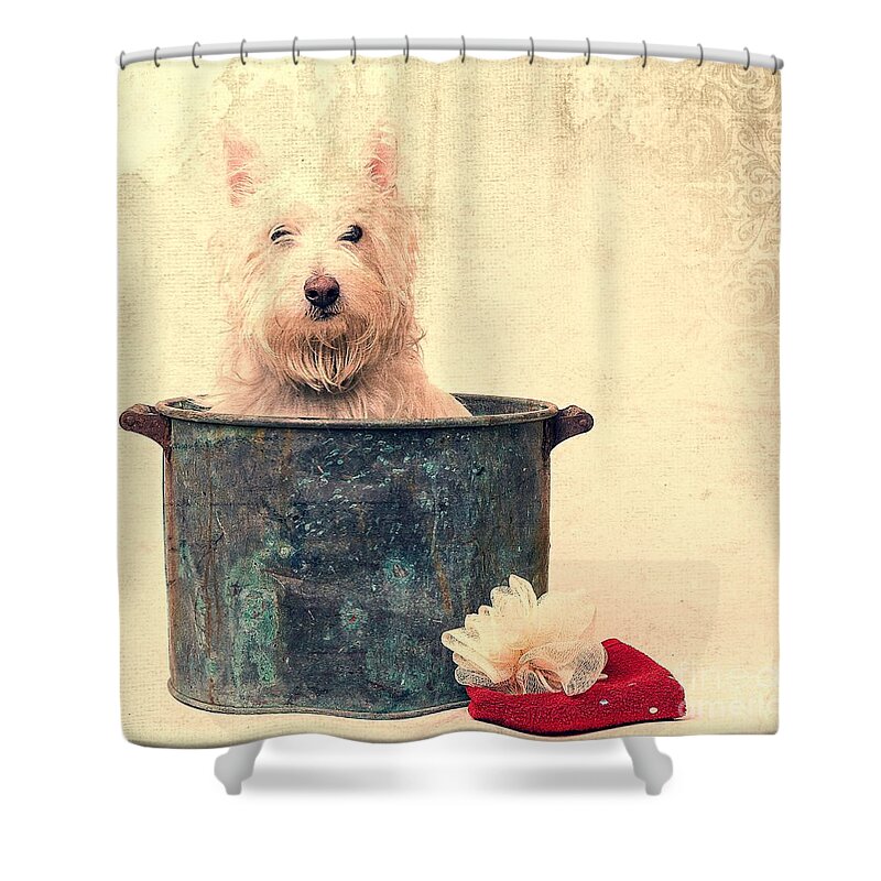 Dog Shower Curtain featuring the photograph Vintage Bathtime by Edward Fielding