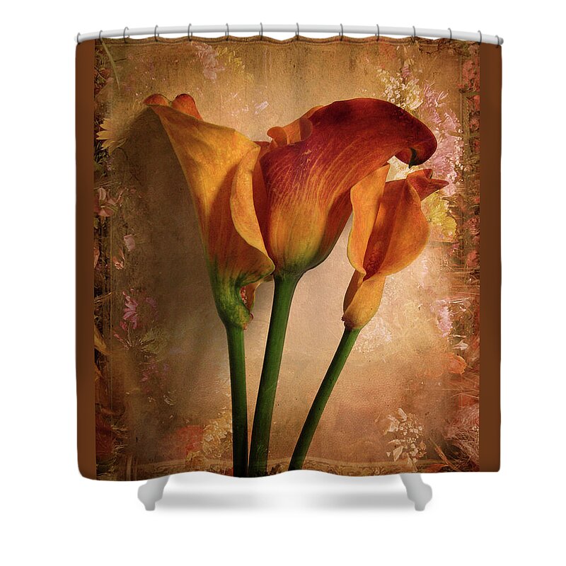Flower Shower Curtain featuring the photograph Vintage Calla Lily by Jessica Jenney