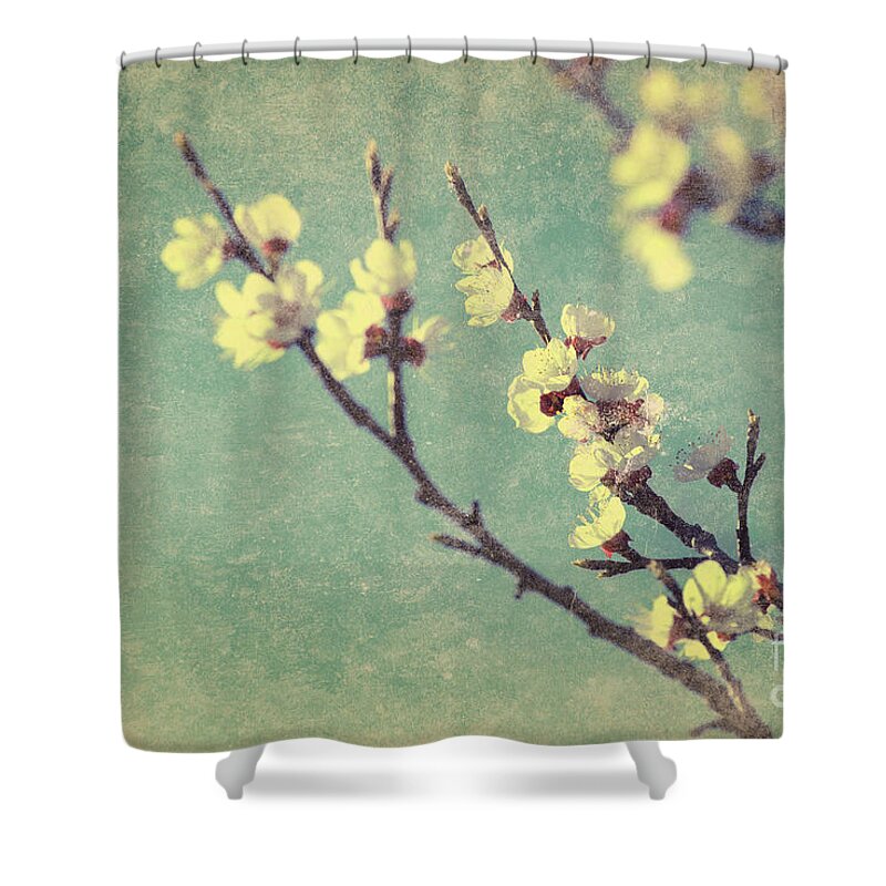 Blossom Shower Curtain featuring the photograph Vintage cherry blossom by Jelena Jovanovic