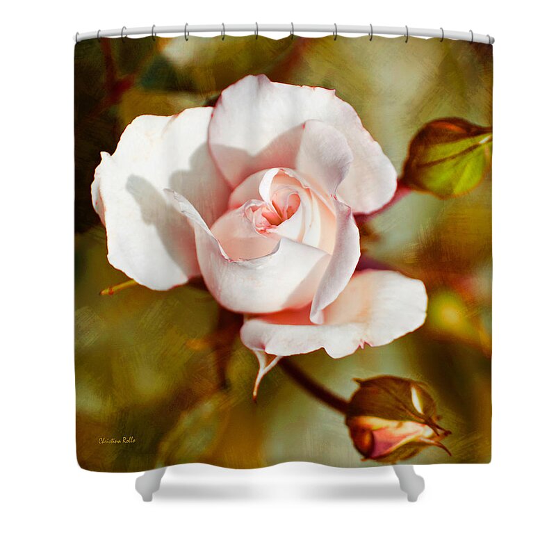 Flower Shower Curtain featuring the mixed media Vintage Rose Square by Christina Rollo