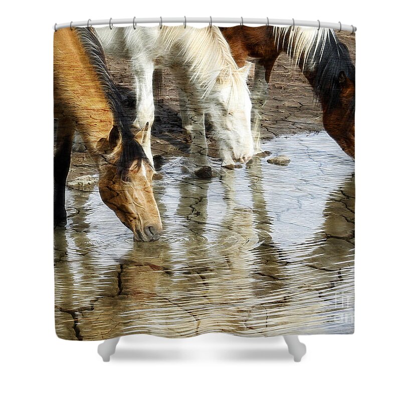 Wild Horses Shower Curtain featuring the photograph Visions of Water Past by Steve McKinzie