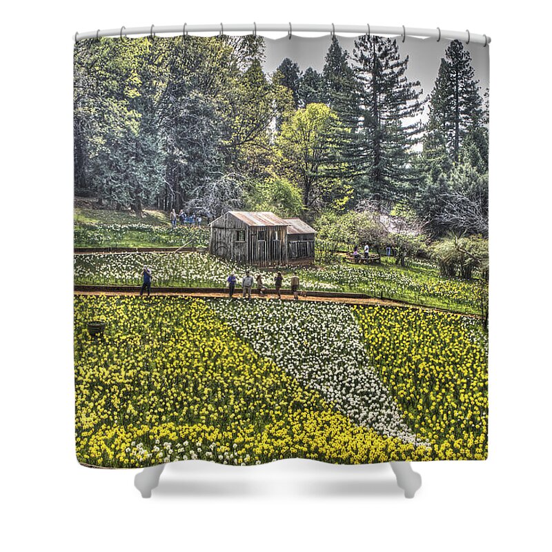 Amador Shower Curtain featuring the photograph Visitors on Daffodil Hill by SC Heffner