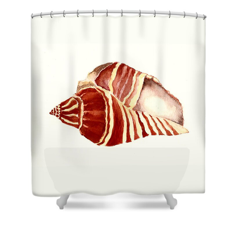 Sea Shell Shower Curtain featuring the painting Vole Sea Shell by Michael Vigliotti