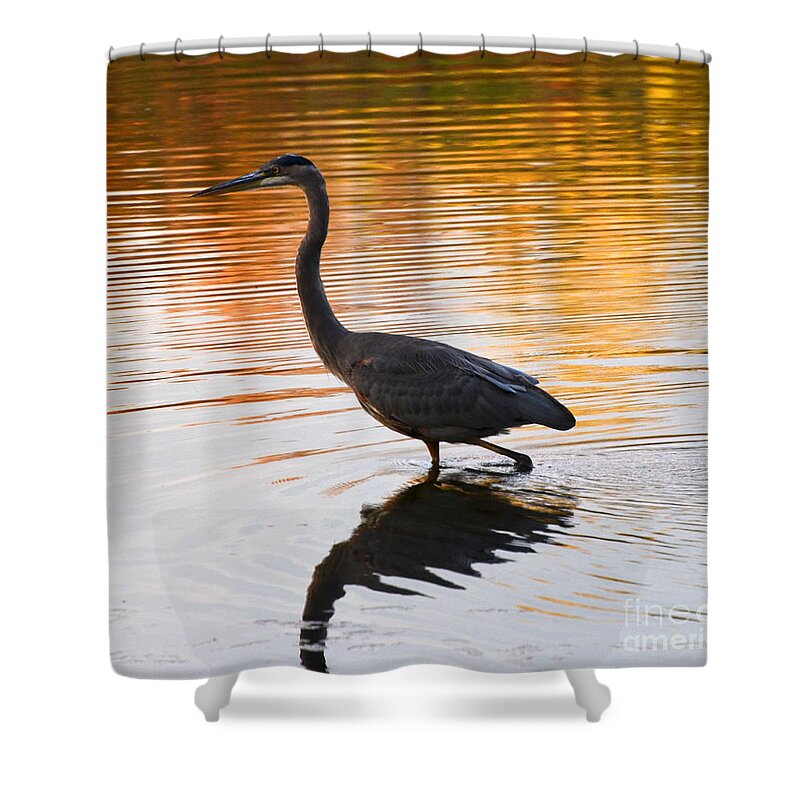 Blue Heron Shower Curtain featuring the photograph Wading For You by Judy Wolinsky