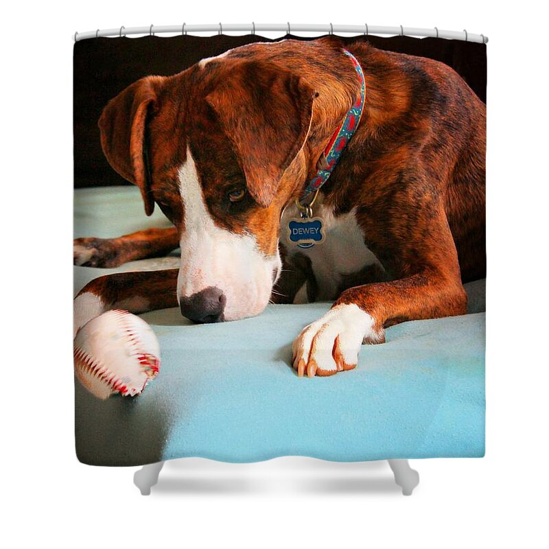 Animals Shower Curtain featuring the photograph Wait for it   Wait for it by Robert McCubbin