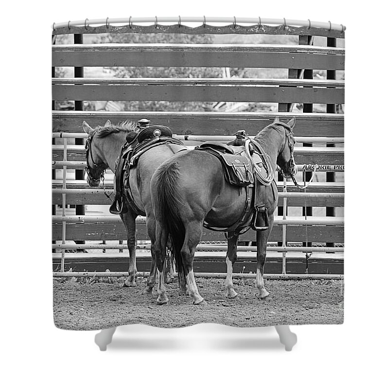 Horses Shower Curtain featuring the photograph Waiting by Ann E Robson
