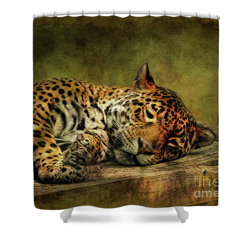 Leopard Shower Curtain featuring the photograph Wake Up Sleepyhead by Lois Bryan