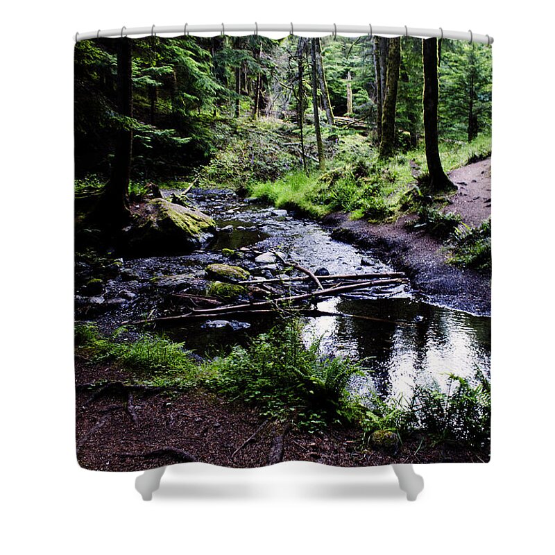 Orcas Island Shower Curtain featuring the photograph Walk by the Water by Edward Hawkins II