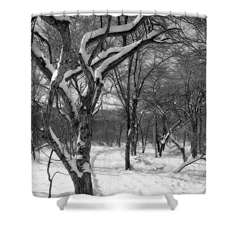 Snow Shower Curtain featuring the photograph Walk in the snow by Tracy Winter
