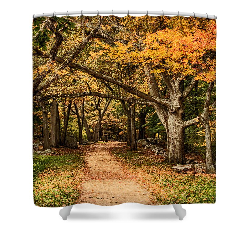 Autumn Foliage New England Shower Curtain featuring the photograph Walk in the woods by Jeff Folger