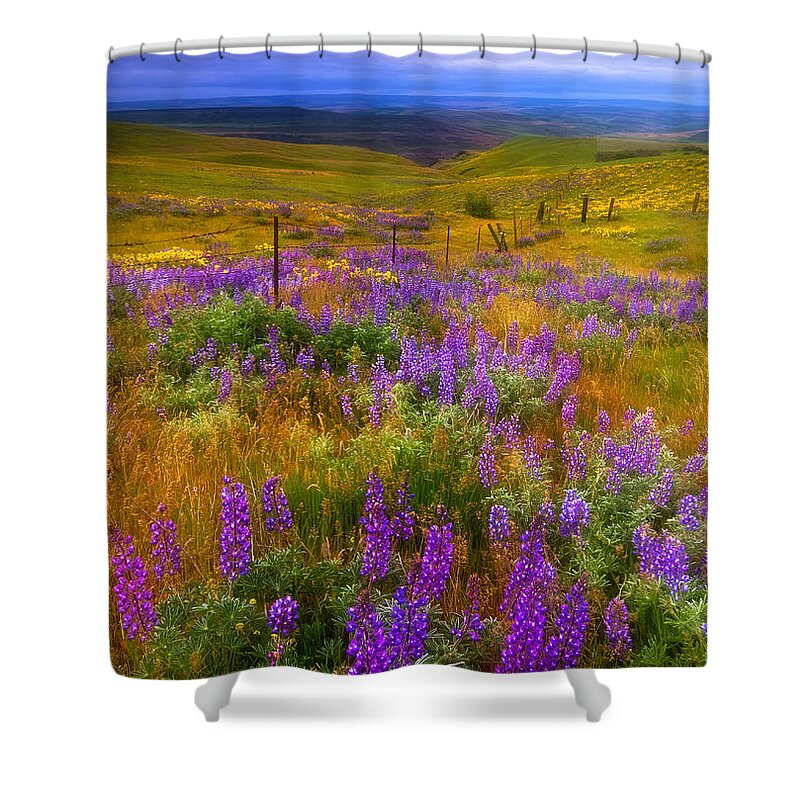Wildflowers Shower Curtain featuring the photograph Walking along the Fence line by Darren White