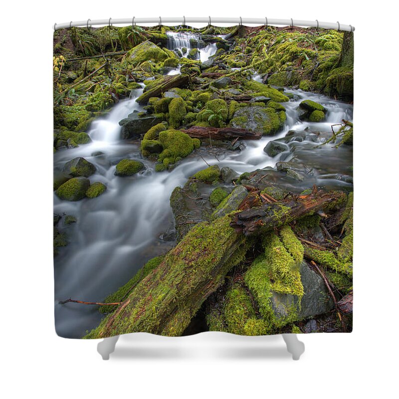 Pacific Northwest Shower Curtain featuring the photograph Walking to Sol Duc by Marco Crupi
