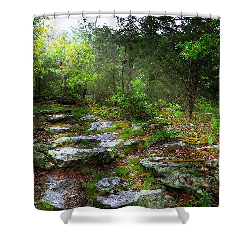 Paths Shower Curtain featuring the photograph Walking With Light by Lisa Lambert-Shank