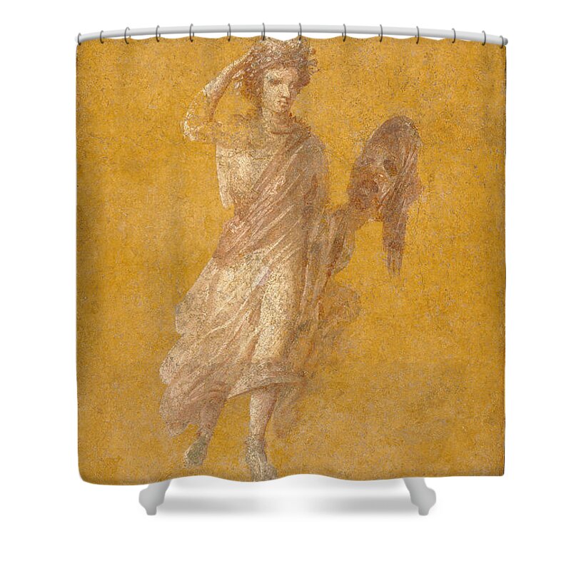 Pompeii Shower Curtain featuring the painting Wall Fragment Of A Muse, 1-75 Ad by Roman School