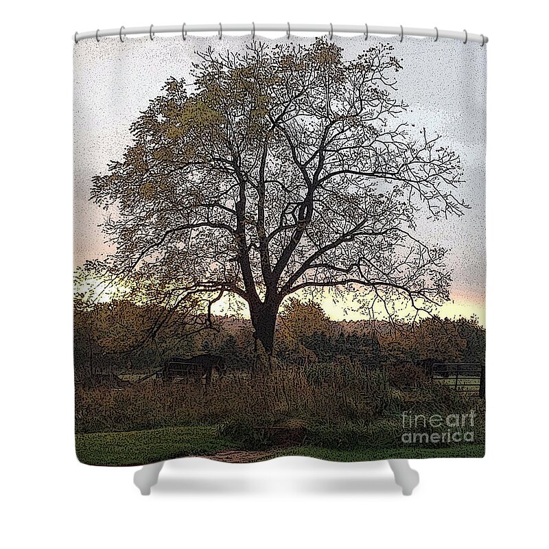 Sunrise Shower Curtain featuring the photograph Walnut Tree Series Poster Edges by Conni Schaftenaar