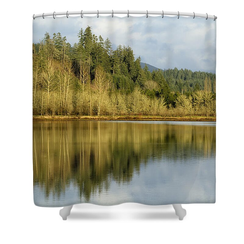 Pond Shower Curtain featuring the photograph Walterville Pond No. 1 by Belinda Greb
