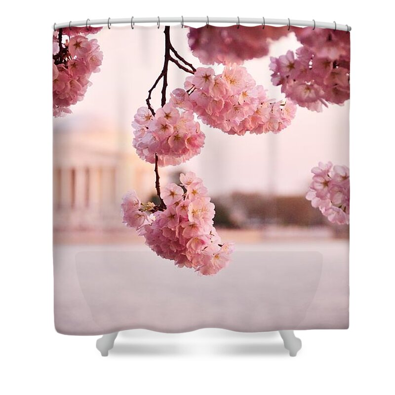 Lincoln Shower Curtain featuring the photograph Washington DC Cherry Blossoms by Jonas Luis