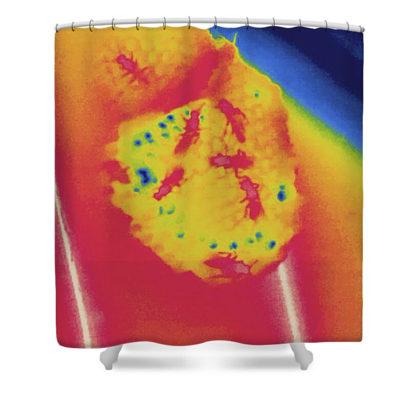 Thermogram Shower Curtain featuring the photograph Wasp Nest, Thermogram by Science Stock Photography
