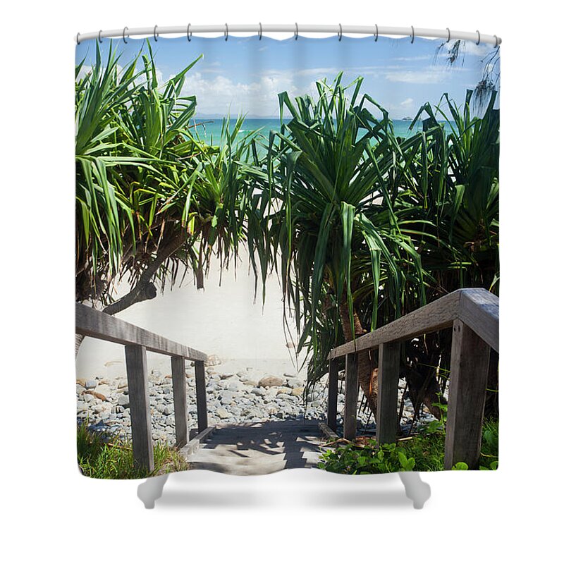 Steps Shower Curtain featuring the photograph Wategoes Beach Boardwalk Steps, Byron by Davidf