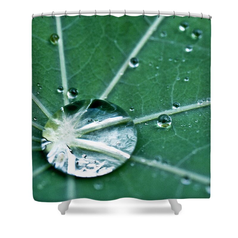 Heiko Shower Curtain featuring the photograph Water droplet on a lotus leaf by Heiko Koehrer-Wagner