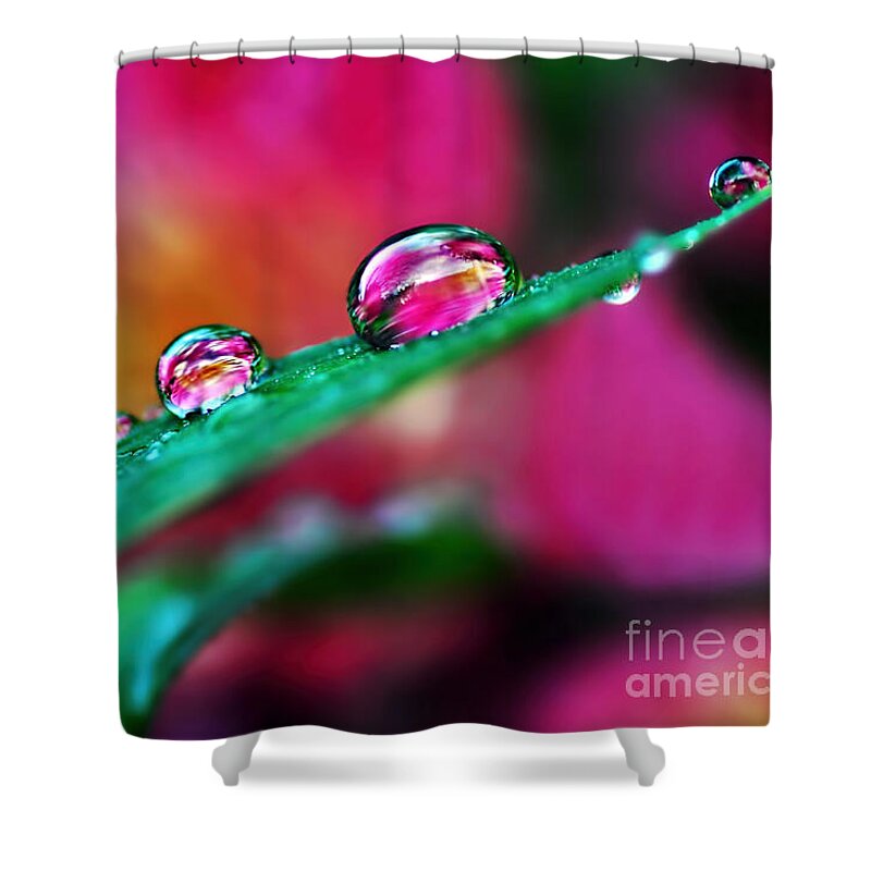 Water Droplets In Magenta Shower Curtain featuring the photograph Water Droplets in magenta by Kaye Menner