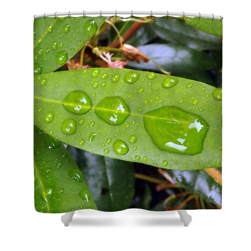 Water Shower Curtain featuring the photograph Water Droplets On Leaf by Joyce Wasser