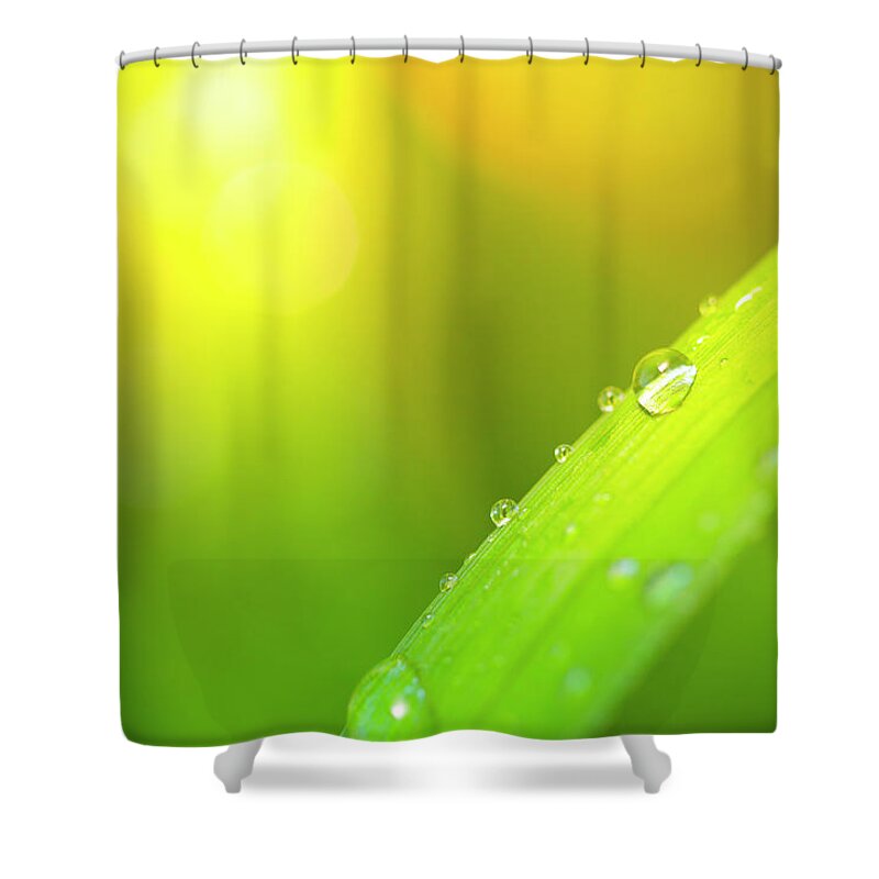 Grass Shower Curtain featuring the photograph Water Drops On Leaf With Sunbeam In by Pawel.gaul
